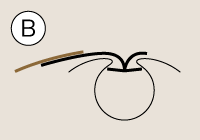 bestellung-storenstoff-easy-keder-b Schnellwechselkeder – Easy-Keder B