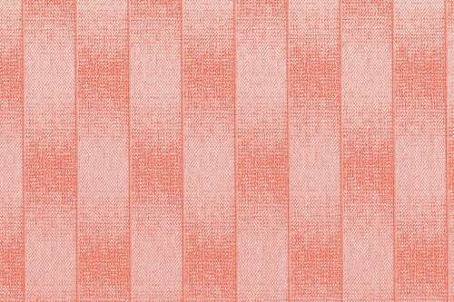 Citel BLISS Bits 1121 Scroll White Coral – Stoffe mit Muster für den Aussenbereich