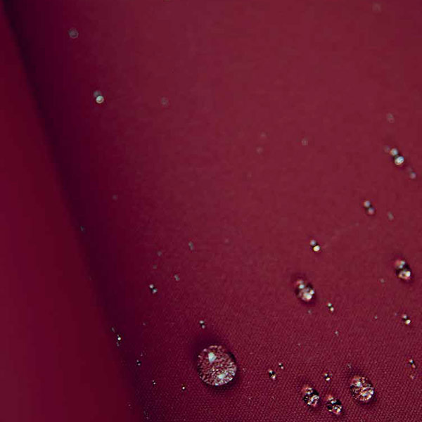 Dickson Orchestra Max